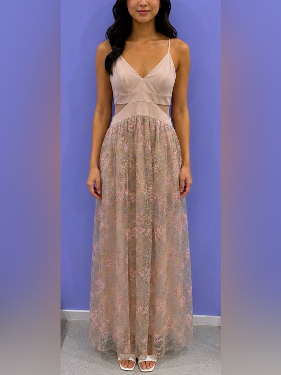 Xscape Dresses & Skirts - Xscape Blush Pink Lace Maxi Gown